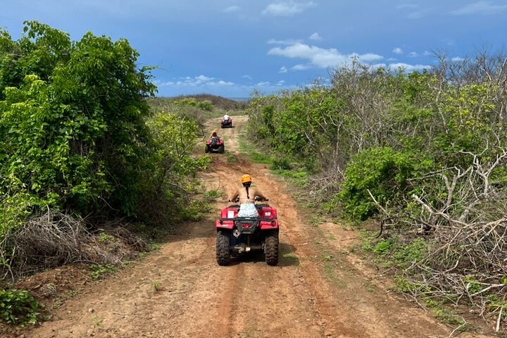 Jungle and beach ATV tour + lunch + tequila tasting
