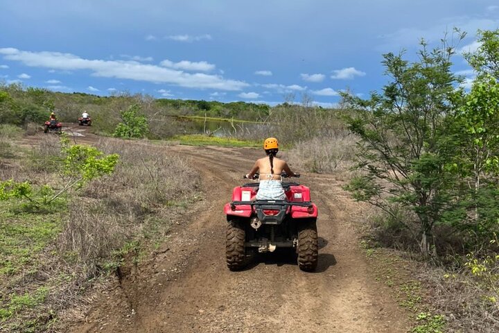 Jungle and beach ATV tour + lunch + tequila tasting
