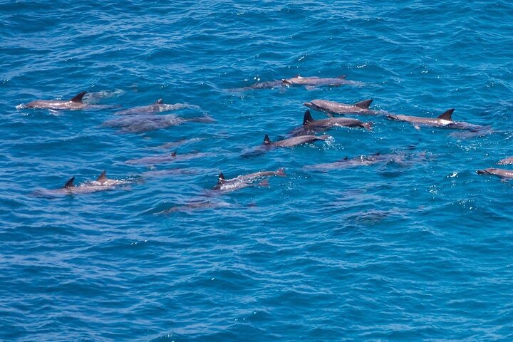 Kalbarri Sunset Cruise