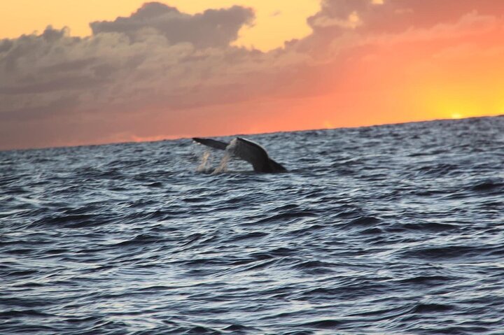 Kalbarri Sunset Cruise