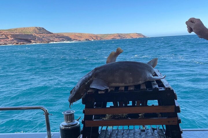 Kalbarri Rock Lobster Tours