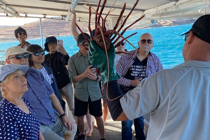 Kalbarri Rock Lobster Tours