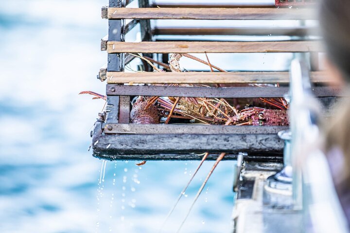 Kalbarri Rock Lobster Tours