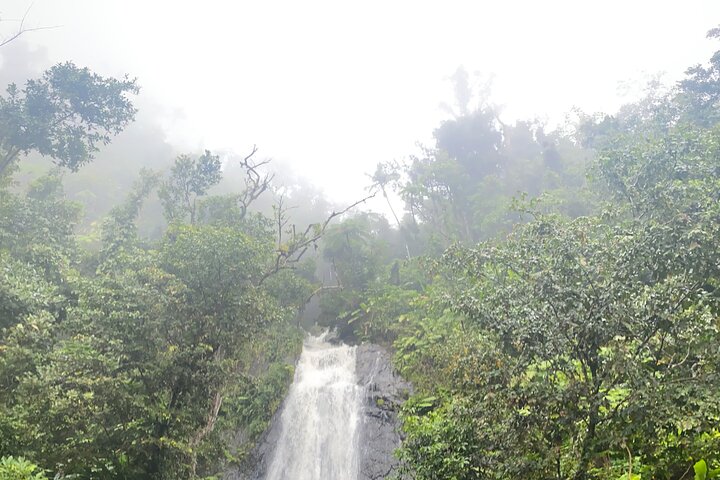 El Yunque National Forest Guided Tour with Transport