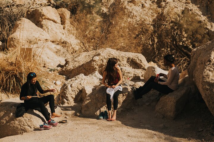 Dead Sea, Masada and Ein Gedi Day Tour from Tel Aviv