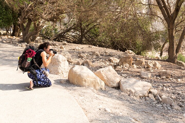 Dead Sea, Masada and Ein Gedi Day Tour from Tel Aviv