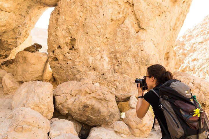 Dead Sea, Masada and Ein Gedi Day Tour from Tel Aviv
