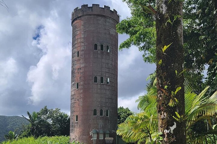El Yunque National Forest Guided Tour with Transport