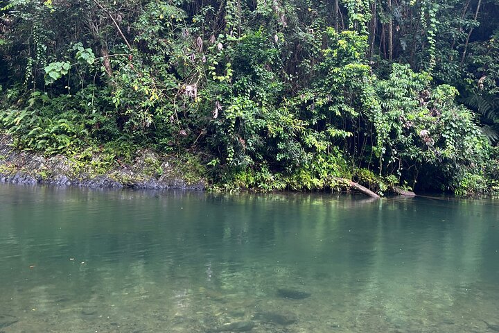 El Yunque National Forest Guided Tour with Transport