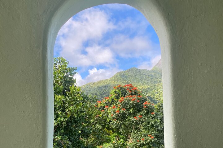 El Yunque National Forest Guided Tour with Transport