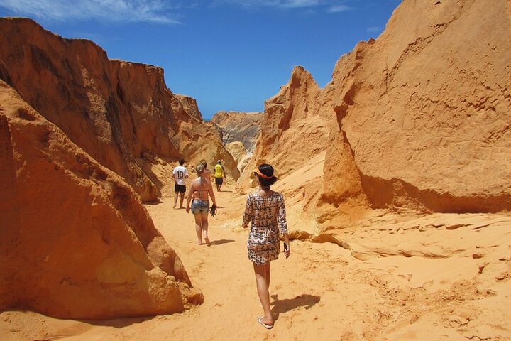 Tour to 3 Beaches for One Day in Fortaleza