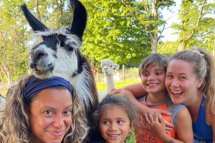 Llama/Alpaca Hike and Farm Tour