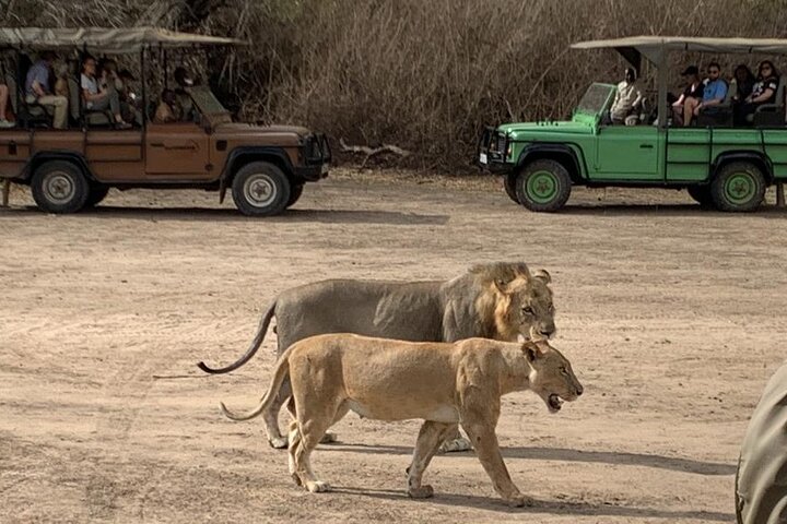 3Days Nyerere National Park Private tour