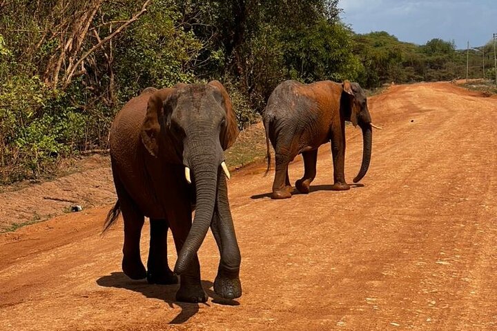 3Days Nyerere National Park Private tour