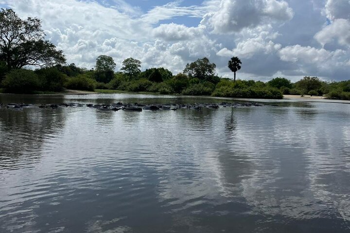 3Days Nyerere National Park Private tour