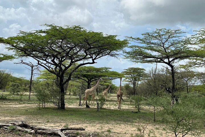 3Days Nyerere National Park Private tour