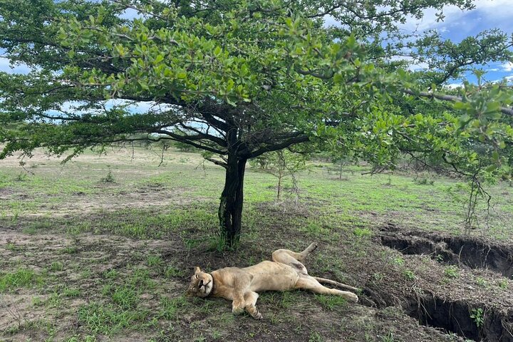 3Days Nyerere National Park Private tour