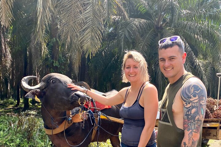 Nauyaca Waterfall Adventure -All-Inclusive Full Day tour