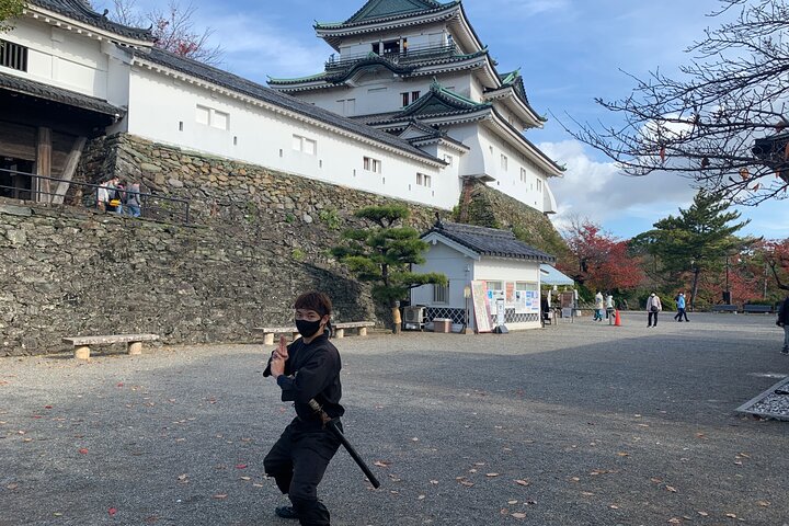 The Best of Wakayama City Private Tour
