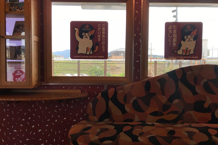 The Best of Wakayama City Private Tour