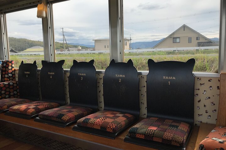 The Best of Wakayama City Private Tour