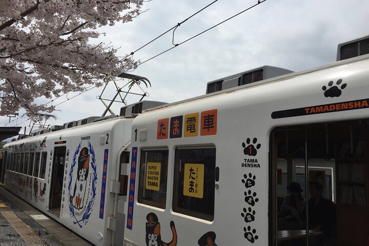 The Best of Wakayama City Private Tour