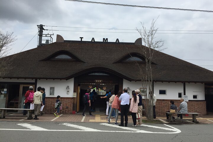 The Best of Wakayama City Private Tour