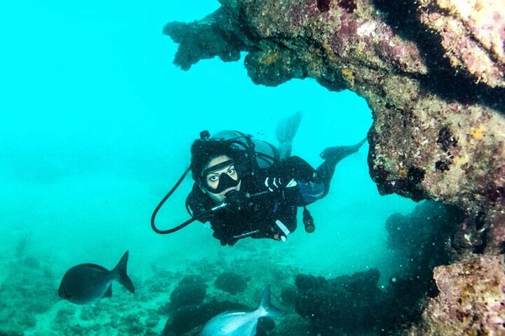 2-Tank Scuba Boat Trip in World-Class Sites @ Copamarina
