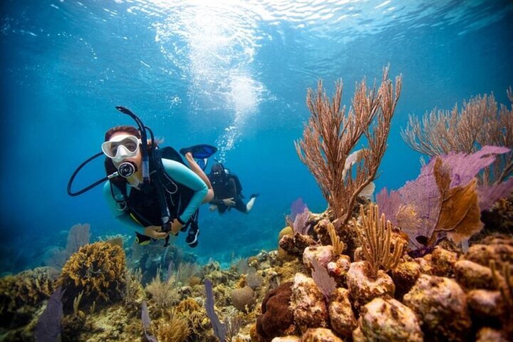 2-Tank Scuba Boat Trip in World-Class Sites @ Copamarina