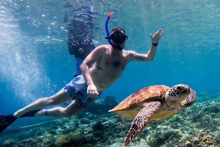 Snorkeling with turtle and statue in Gilis