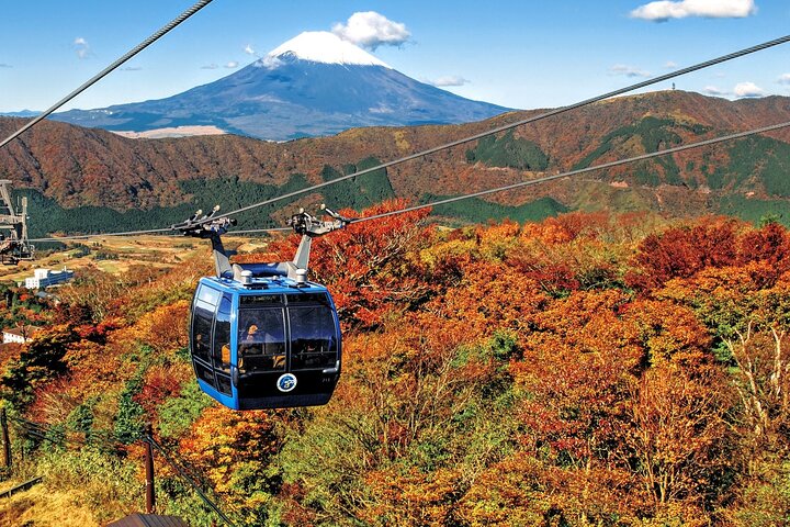 Mt Fuji and Hakone 1-Day Bus Tour Return by Bullet Train