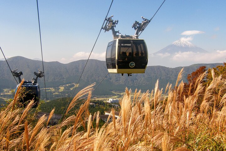 Mt Fuji and Hakone 1-Day Bus Tour Return by Bullet Train