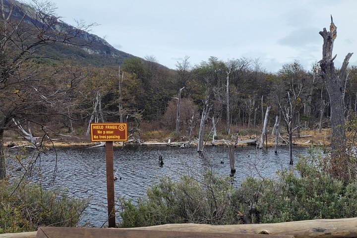 National Park with Train and Navigation Beagle Channel Full Day Tour