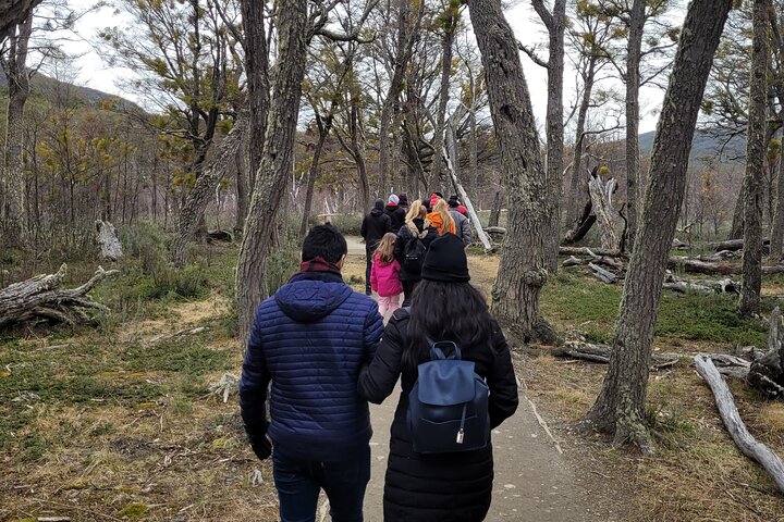 National Park with Train and Navigation Beagle Channel Full Day Tour