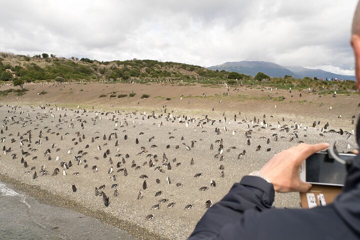 National Park with Train and Navigation Beagle Channel Full Day Tour