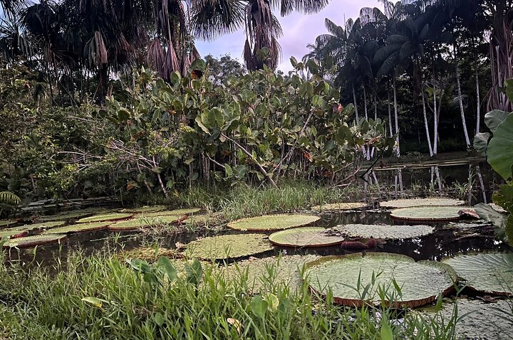 3-Day Amazon Essence: Private Culture & Nature Journey