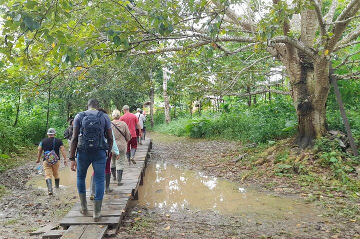 3-Day Amazon Essence: Private Culture & Nature Journey