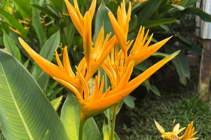 3-Day Amazon Essence: Private Culture & Nature Journey