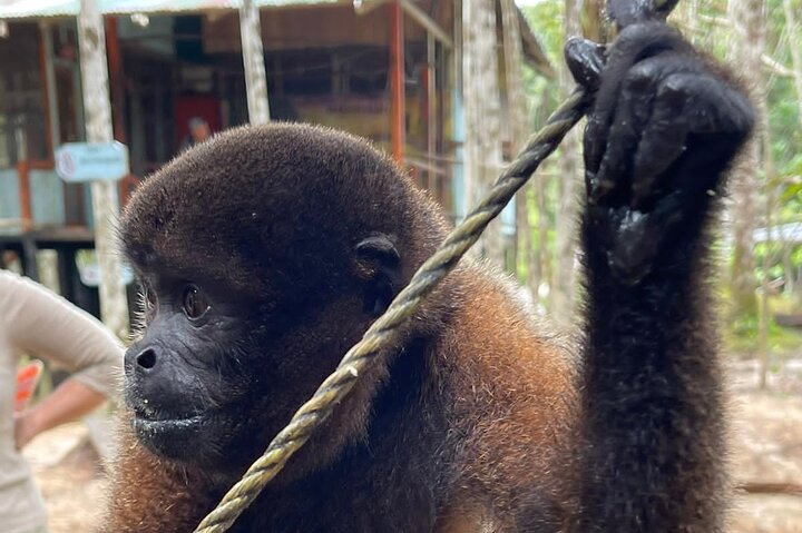 3-Day Amazon Essence: Private Culture & Nature Journey
