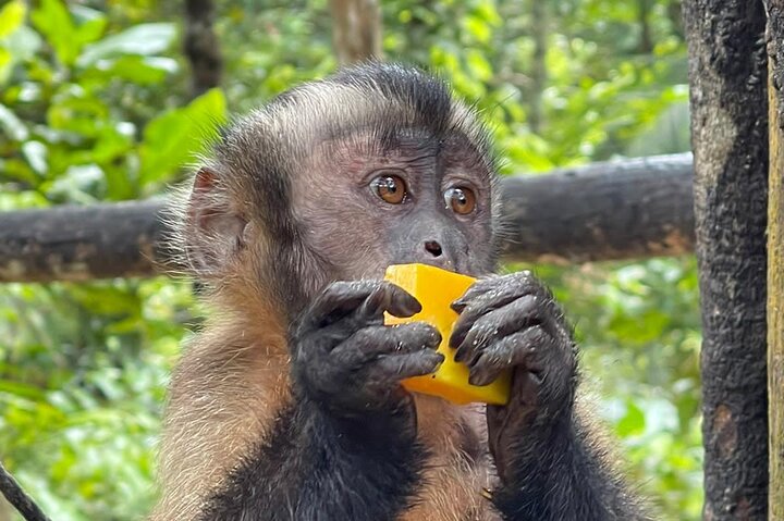 3-Day Amazon Essence: Private Culture & Nature Journey