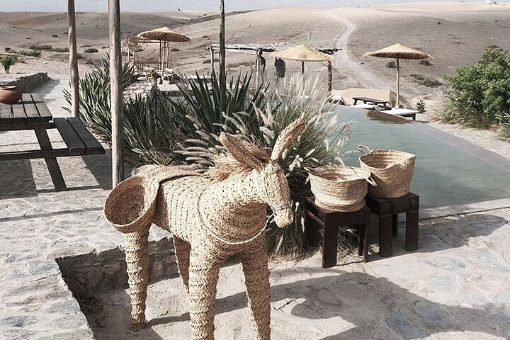 Agafay Desert - Quad camel and dinner show