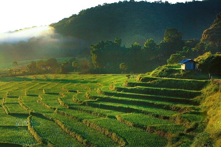 3-in-1: Doi Inthanon Tour, Elephant Sanctuary, and Trekking Trail