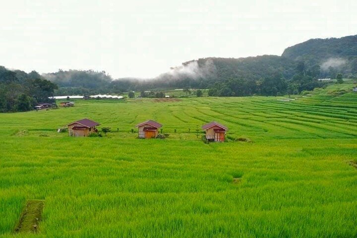 3-in-1: Doi Inthanon Tour, Elephant Sanctuary, and Trekking Trail