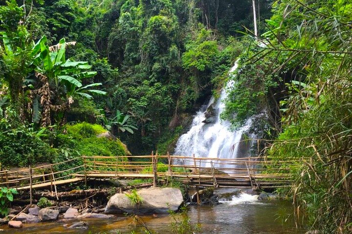 3-in-1: Doi Inthanon Tour, Elephant Sanctuary, and Trekking Trail