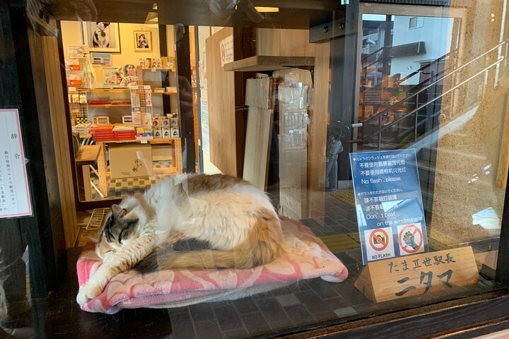 The Best of Wakayama City Private Tour