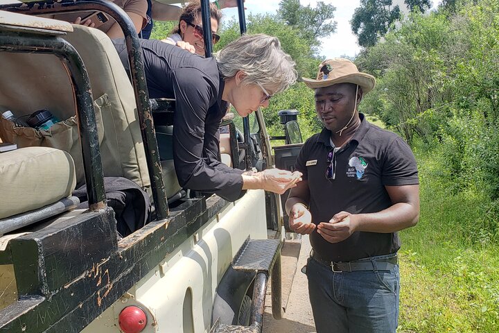 Game Drive Plus White Rhino Short Walk