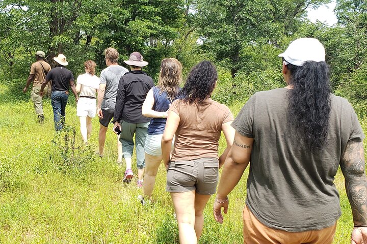 Game Drive Plus White Rhino Short Walk