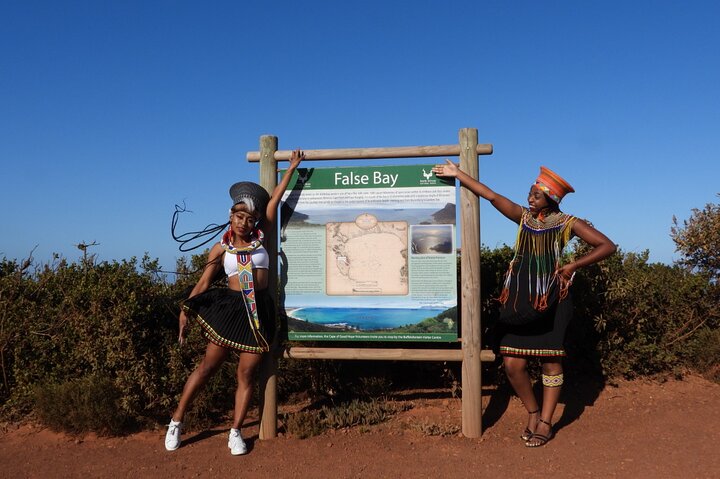 Table Mountain, Penguins & Cape Point Group Tour from Cape Town