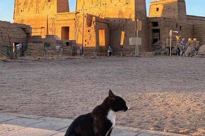 Private Day Tour from Sharm El Sheikh To Luxor & Valley of Kings