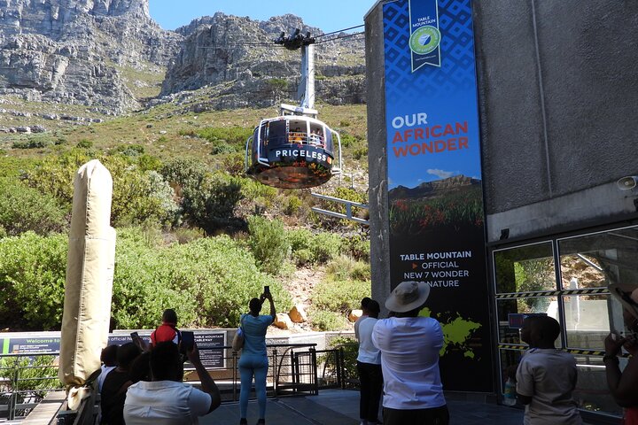 Table Mountain, Penguins & Cape Point Group Tour from Cape Town